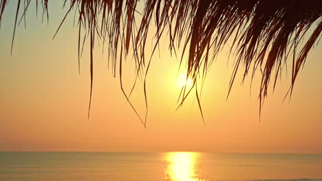 Exotic-view-of-the-sunset-over-the-sea-with-the-palm-tree-branch-silhouette-in-the-foreground