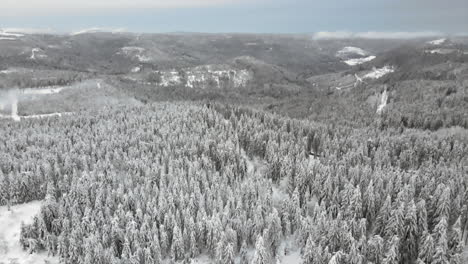 Slow-reveal-of-giant-forest-landscape-covered-in-snow,-aerial-tilt-up