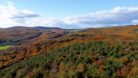 Arial-view---High-slow-cinematic-drone-flight-over-some-trees-in-autumn-forest-and-a-blue-sky