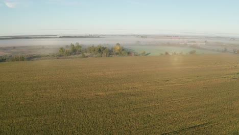 Morning-light-shining-on-farm-fields-with-thin-layer-of-fog-in-distance