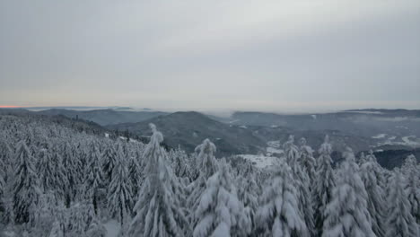 Revealing-scenic-winter-wonderland-at-the-Black-Forest,-Germany