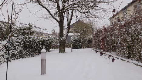 Motion-Shot-of-snowing-in-a-garden