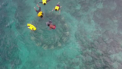 Top-view-of-people-learn-snorkeling-in-crystal-clear-water-of-Gili-Islands,-Lombok,-Indonesia