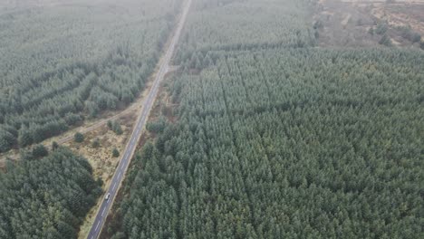 High-aerial-view-over-evergreen-forest-and-car-on-country-road,-tilt-down