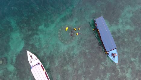 People-snorkel-at-coral-reef-on-coast-of-Gili-Island,-Lombok,-Indonesia,-top-view