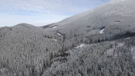 Snowy-forest-on-a-steep-mountainside-below-the-mountain-peak,Czehia