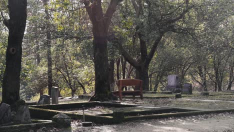 Single-Wooden-Bench-in-the-Jacksonville-Cemetery-in-Oregon---4K
