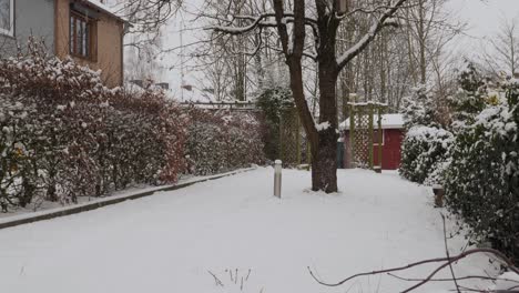 Motion-Shot-of-snowing-in-a-garden