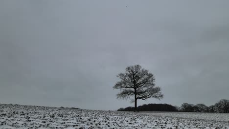 Low-Aerial-POV-over-bare-farm-field-in-winter-scattering-of-snow-on-the-ground