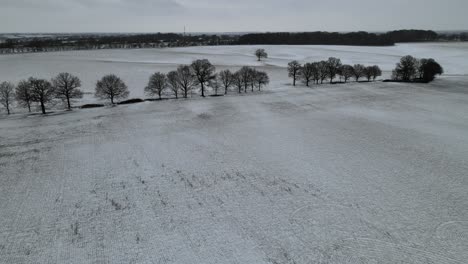 Reihe-Von-Bäumen-In-Schneebedeckten-Feldern-In-Trostlosen-Wintern-Landschaft-Essex-Uk