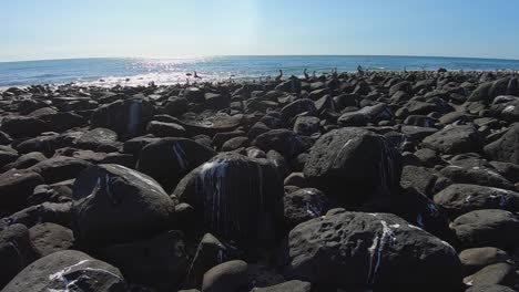 Low-angle-pan-across-the-black-volcanic-rock-on-the-beach-at-Rocky-Point,-Mexico-where-Pelicans-roost-guano