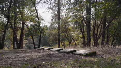 Reihe-Von-Grabsteinen-Auf-Einer-Waldlichtung---Friedhof-Von-Jacksonville-In-Oregon---4k