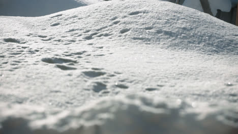 Snow-goes-into-focus-camera-blur-depth-of-field