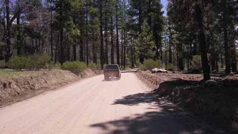 Dusty-SUV-driving-on-winding-dirt-road-through-the-forest