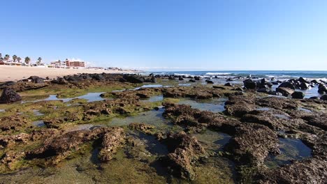 The-tide-pool-of-Bahía-la-Choya,-Gulf-of-California,-Rocky-Point,-Puerto-Peñasco,-Mexico
