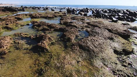 Low-angle,-tide-pools-form-at-low-tide,-Rocky-Point,-Mexico