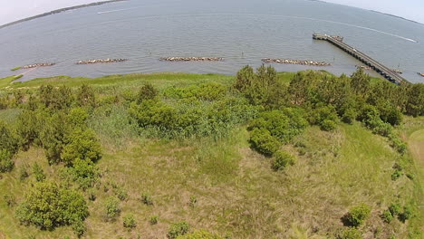 Drone-shot-shows-bay,-breakwater-features,-pier,-and-shore-vegetation