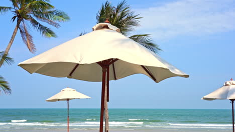 Parasols-and-Exotic-Trees-on-Empty-Tropical-Beach-With-Sea-Skyline-on-Sunny-Day,-Full-Frame