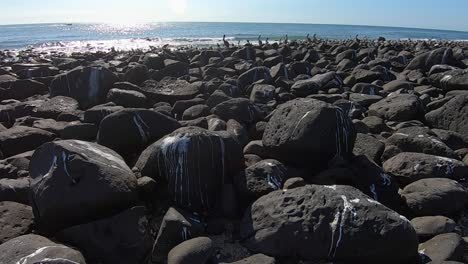 White-bird-guano-decorates-the-black-volcanic-rock-on-the-beach-in-Rocky-Point,-Mexico