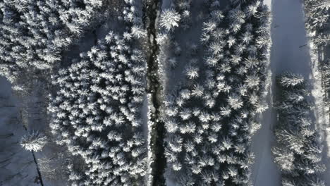 Aerial-Shot-Of-River-Winding-Through-Winter-Mountain-Landscape,-Trees-Covered-In-Snow