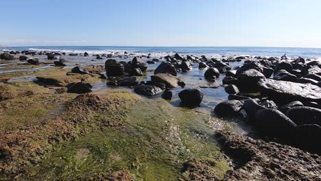 Tide-pools-begin-to-form-on-the-beach-Gulf-of-California-at-Rocky-Point,-Puerto-Peñasco,-Mexico
