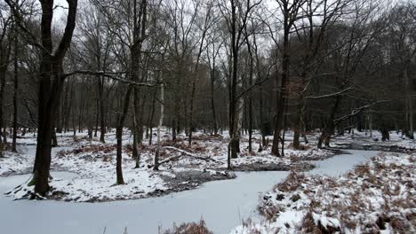 Aerial-low-pov-over-small-frozen-pond-Epping-forest-Essex-,-UK-snow-covered-frozen-bare-trees