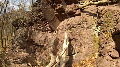 Pan-across-rock-formation-with-roots-and-mossy-wood