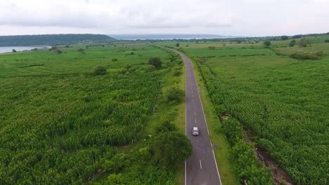 aerial-view-of-remote-rural-countryside-narrow-lonely-road-cross-the-corn-field-with-sea-view-at-distance-and-mountain-landscape,-Samota-Area,-Sumbawa,-Indonesia