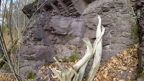 Steadicam-shot-moves-across-rock-formation-to-attractive-dead-wood-covered-with-moss