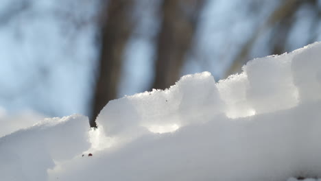Detail-view-of-piled-and-clumped-snow-amidst-sunny-cold-forest---Close-up-Panning-shot