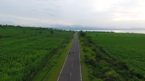 Imágenes-Aéreas-De-Drones-De-Una-Carretera-Estrecha-Y-Solitaria-En-El-área-De-Samota-Del-Campo-De-Maíz-De-Arroz,-Sumbawa,-Indonesia