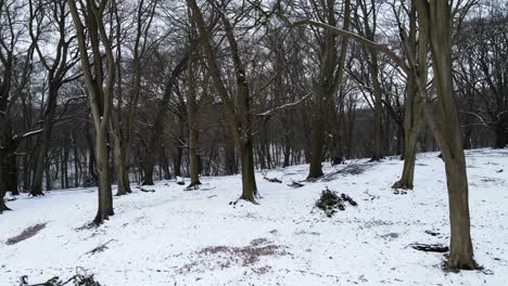 Bare-trees-in-winter-forest-low-aerial-pan-,-snow-covered-ground