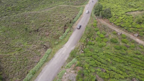 Aerial-drone-shot,-camera-following-car-driving-on-paved-road-in-tea-plantation