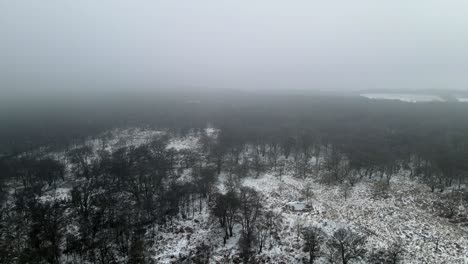 Winterwald-Luftpfanne-Nebelhimmel-4k
