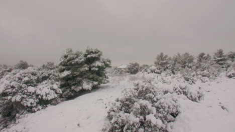 Seasonal-winter-landscape-idyllic-snow-covered-hillside-trees-during-frosty-blizzard