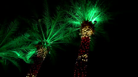 Palm-Trees-Wrapped-in-Colorful-Holiday-Lights---Tropical-Christmas-Vacation