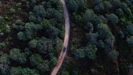 Cinematic-overhead-top-down-aerial-follow-shot-of-car-driving-on-road-through-a-lush-forest