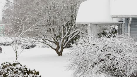 Extremer-Schneefall-In-Der-Nachbarschaft-Mit-Weißem-Garten,-Schneebedeckten-Autos-Und-Hausdächern