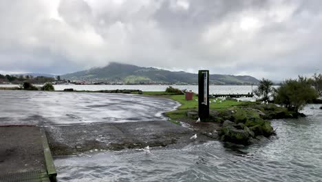 Das-Ufer-Des-Lake-Rotorua-In-Neuseeland,-Zeitlupe