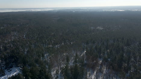 Aerial-of-beautiful-green-forest-in-winter