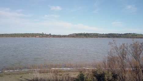 Medina-Lago-Reserva-Natural-En-Jerez,-Pan-A-La-Derecha