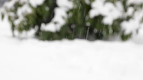 Unscharfe-Makroaufnahme-Von-Starkem-Schneefall-Im-Winter-Und-Schneebedeckten-Bäumen-Im-Hintergrund