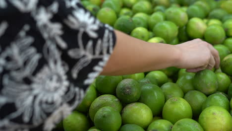 A-woman-selects-ripe-limes-to-purchase-at-a-supermarket---isolated-on-hands-checking-for-freshness