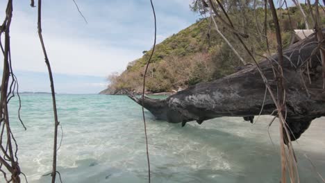 Washed-up-dried-foliage-and-rotten-driftwood-swaying-with-the-tide-in-Koh-Hey-,-Thailand---Wide-push-in-through-gimbal-shot