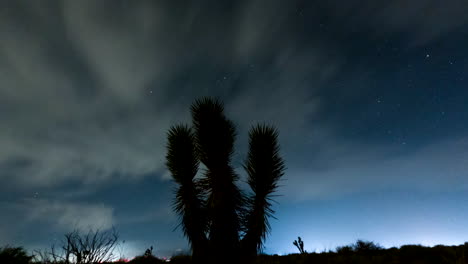 The-desert-night-sky-is-bright-with-the-Milky-Way-as-the-Earth-rotates---time-lapse-with-a-Joshua-tree-in-the-foreground