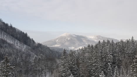 Snowcapped-mountain-range-beyond-a-forest-valley-in-winter,Czechia