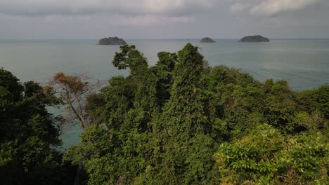 Aerial-rain-forest-with-ocean-and-Palm-trees-and-tropical-islands-in-background