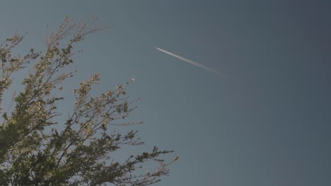 Plane-Flies-through-Sky-Leaving-Contrails-and-Chemtrails-Behind-with-Tree-in-the-Foreground-4K