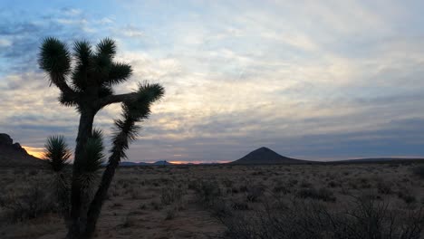 Panoramablick-Auf-Die-Farbenfrohe-Mojave-Wüstenlandschaft-Bei-Sonnenaufgang-Oder-Sonnenuntergang