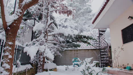 Rare-Medea-snowy-covered-Athens-residential-garden-winter-scene-with-light-snowfall